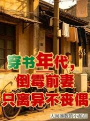 穿书年代，倒霉前妻只离异不丧偶