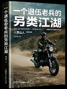 一个退伍老兵的另类江湖