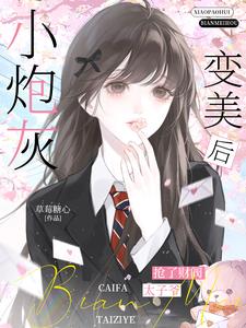 小炮灰变美后，抢了财阀太子爷