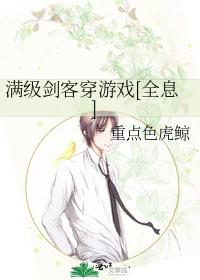 满级剑客穿游戏[全息]