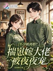 不孕被离婚？揣崽嫁大佬被夜夜宠