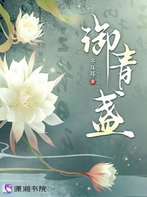 御青盏