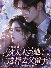 五年冷淡，沈太太她选择去父留子