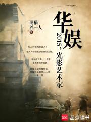 华娱2015，光影艺术家