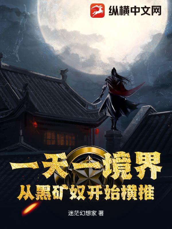 一天一境界，从黑矿奴开始横推
