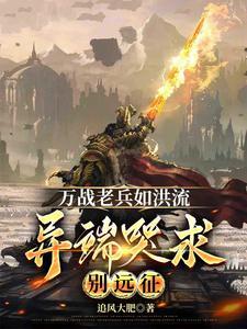 万战老兵如洪流，异端哭求别远征