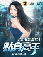 冰山总裁的贴身高手