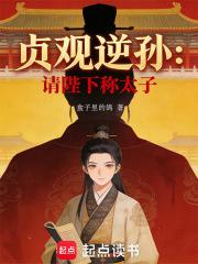 大唐贞观逆孙：请陛下称太子！