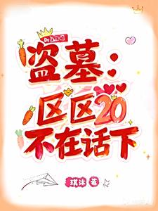 盗墓：区区20，不在话下！