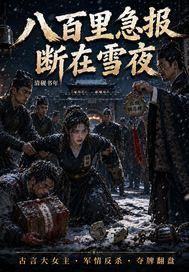 八百里急报断在雪夜