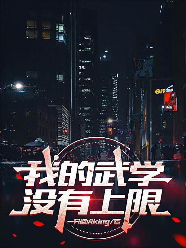 我的武学没有上限