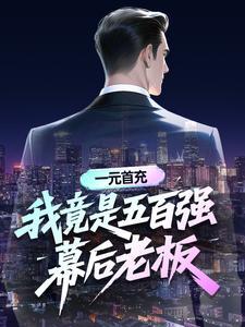 一元首充：我竟是五百强幕后老板