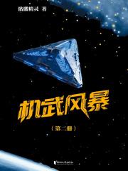 机武风暴（第二册）
