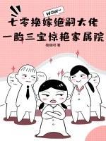 七零换嫁绝嗣大佬，一胎三宝惊艳家属院