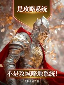 是攻略系统，不是攻城略地系统！