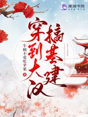 穿到大汉搞基建