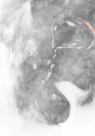 满级大佬很漂亮