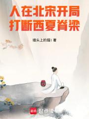 人在北宋，开局打断西夏脊梁！